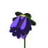 blueWHT.gif (5167 bytes)